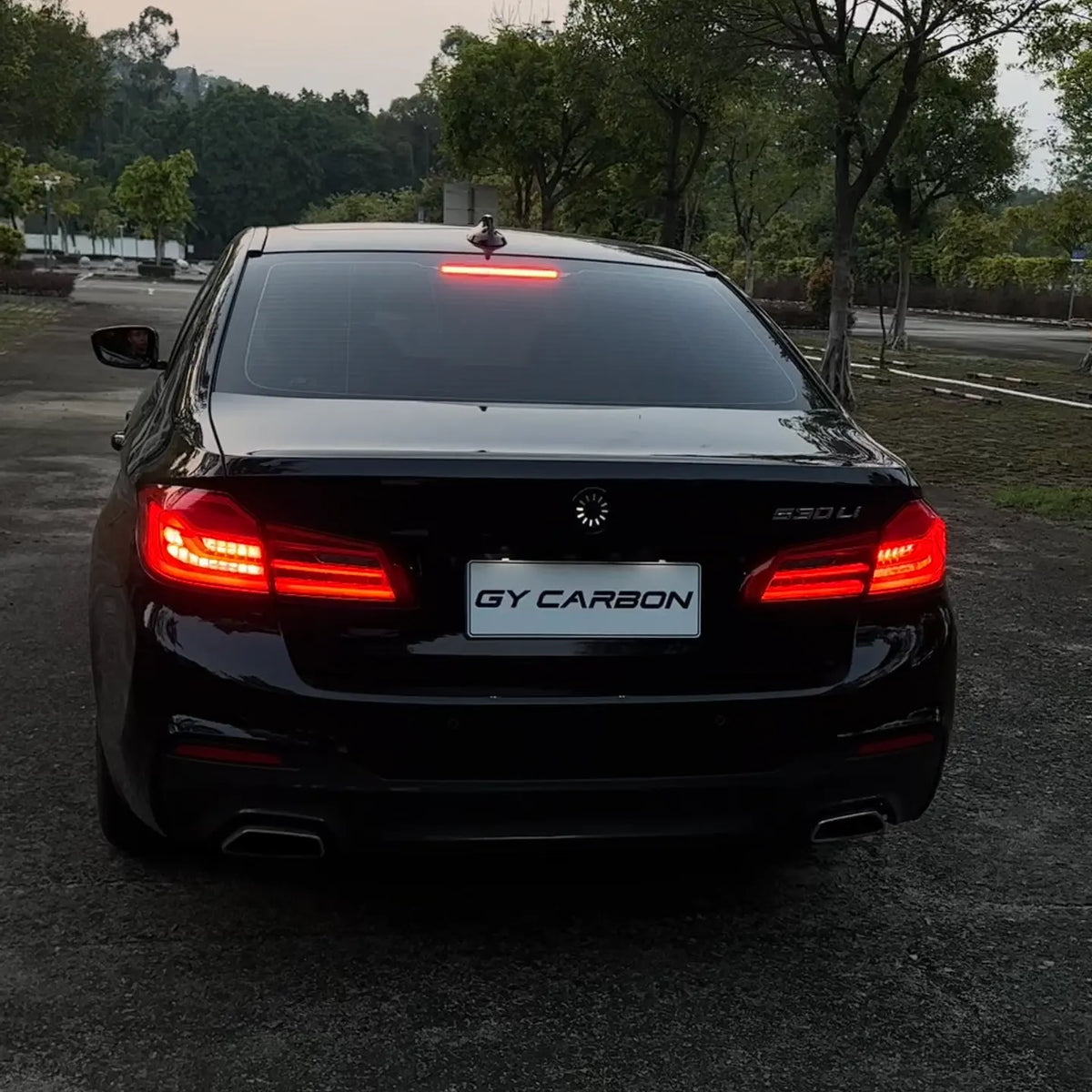 GYcarbon Frenix Custom LED Badge For BMW