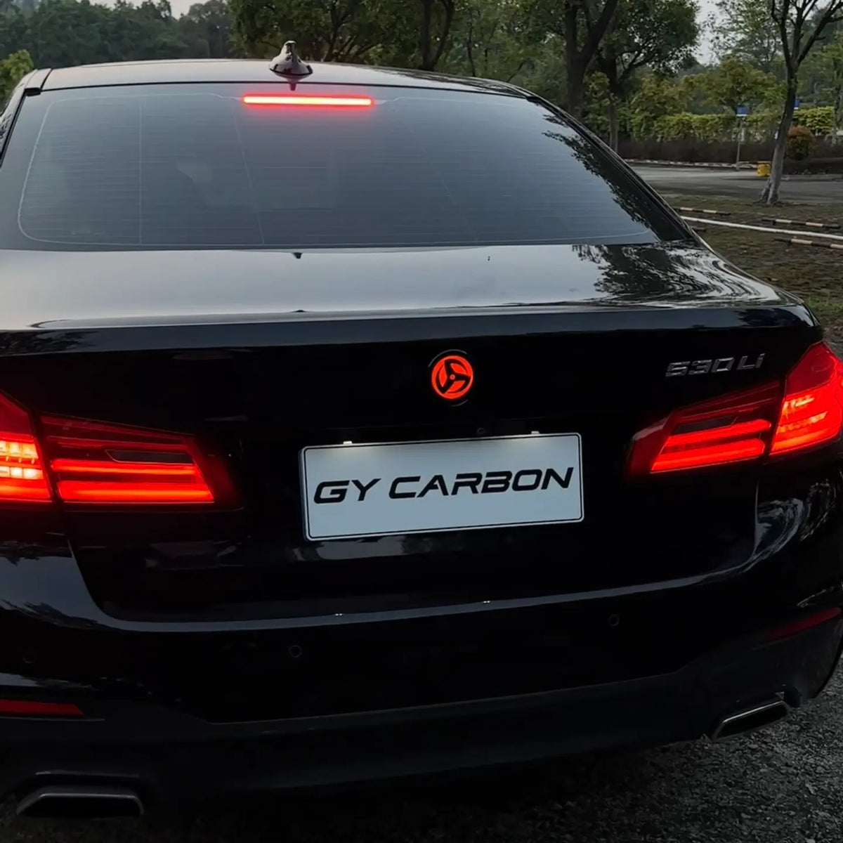 GYcarbon Frenix Custom LED Badge For BMW